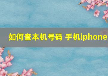 如何查本机号码 手机iphone